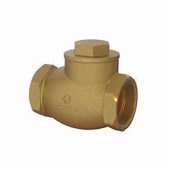 Check Valves
