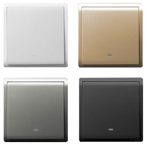 Switches & Sockets