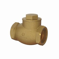Check Valves